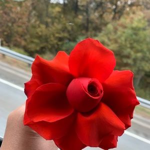 Meet your Posher, Ellen